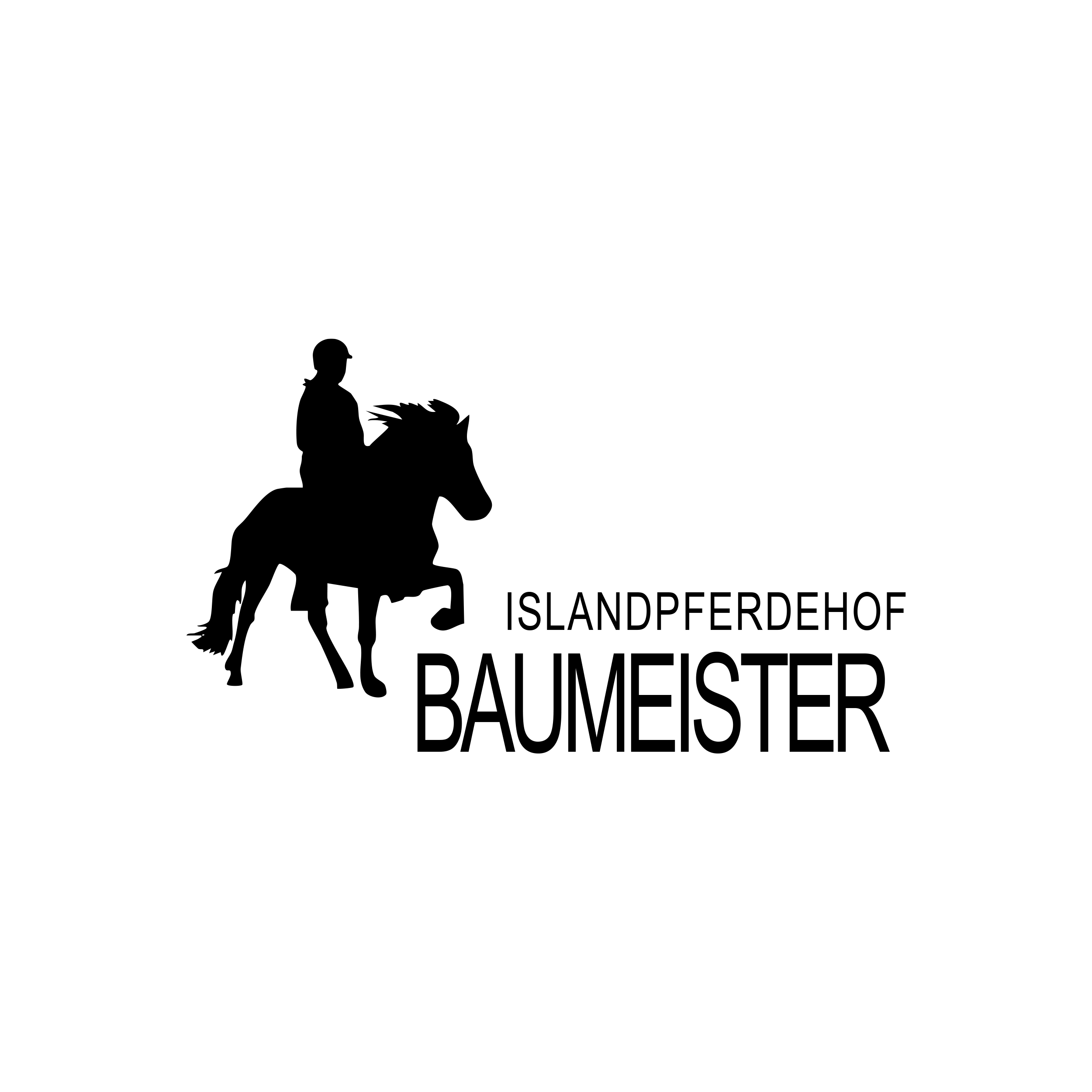 Baumeister Logo