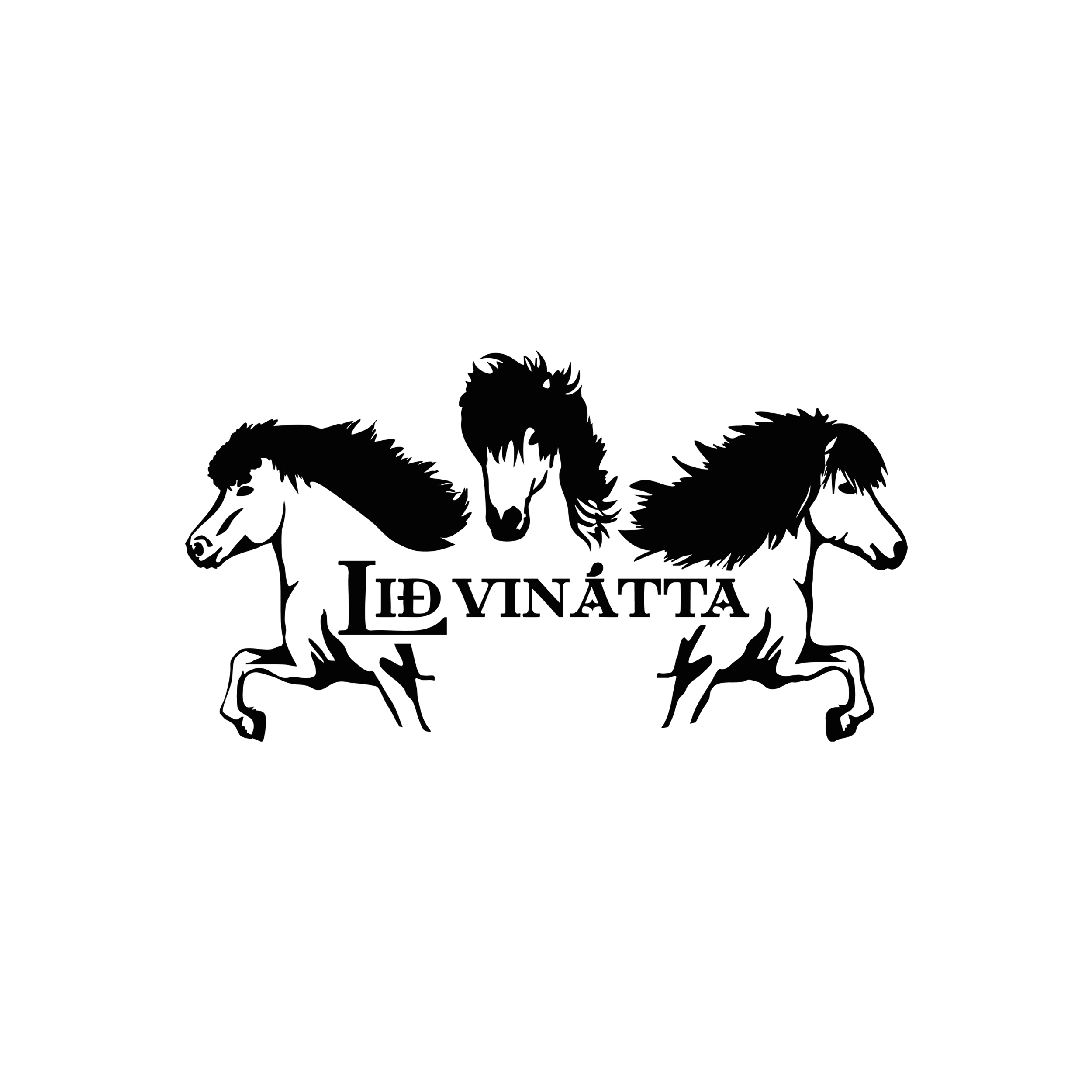 HGG ORGANIC T-Shirt Men | Team
