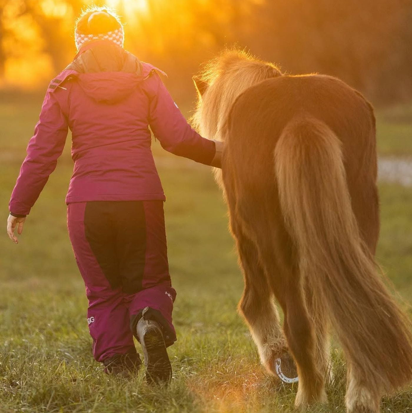 Coldy Winter Riding Breeches