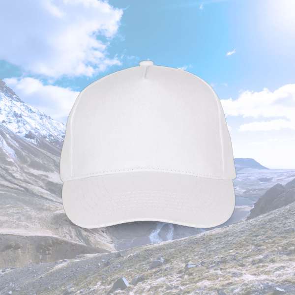 HGG Team 5Panel Cap